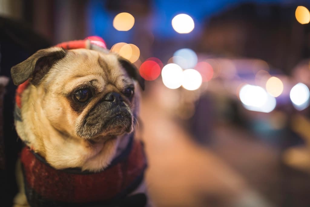 The night you drove four hours